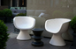 Zanotta Dora Fiberglass Dining Chair Restaurant Cup Shape 65 * 69 * 80 CM supplier