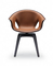 Replica Fiberglass  Ginger Chair Designed By Roberto Lazzeroni supplier