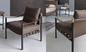 Flou Iko Fiberglass Arm Chair With Tubular Steel Frame / Leather Straps Back supplier