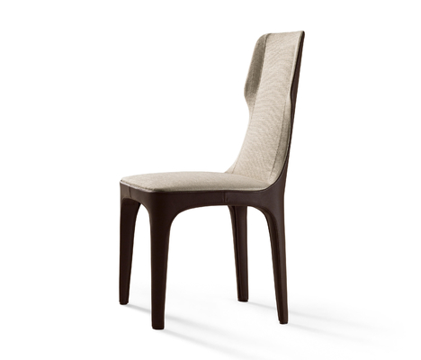 Unmistakable Style Giorgetti Tiche Fiberglass Dining Chair Structural Steel Structure supplier